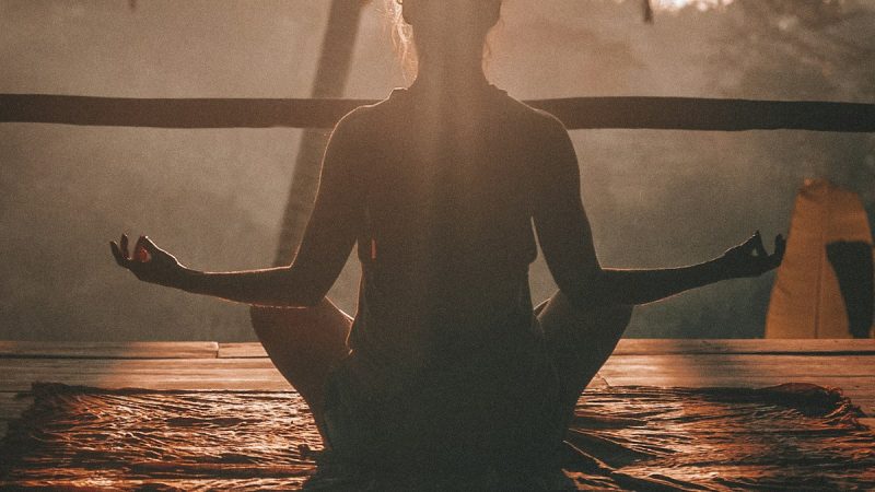 The Microbiome Connection: How Gut Health Influences Brain and Immunity-2